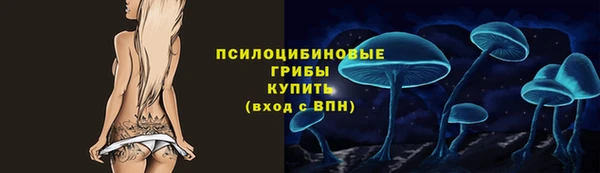 mdpv Пересвет