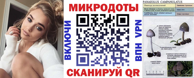 кракен зеркало  Волжск  Галлюциногенные грибы мицелий 