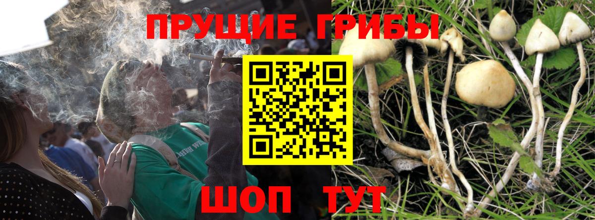 Псилоцибиновые грибы Magic Shrooms  закладки  Волжск  Вход с VPN  Галлюциногенные грибы Magic Shrooms 