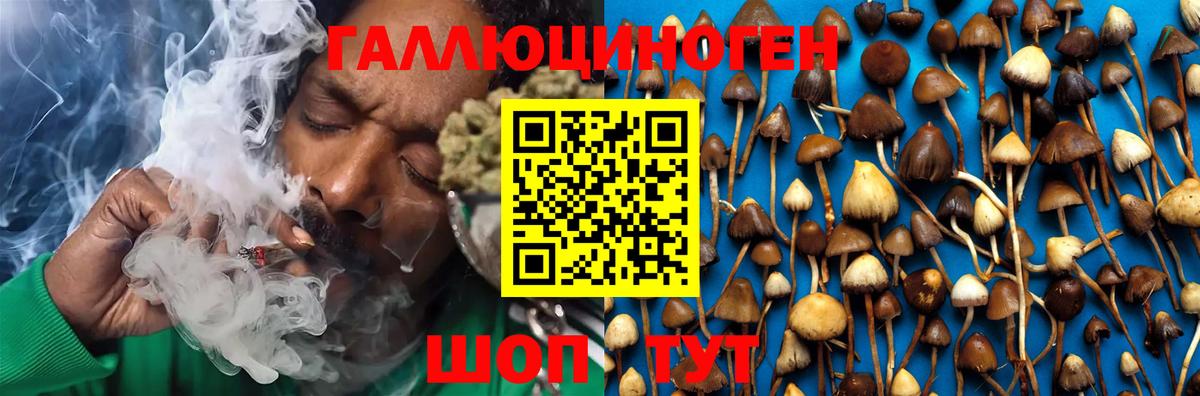 Псилоцибиновые грибы MAGIC MUSHROOMS Волжск