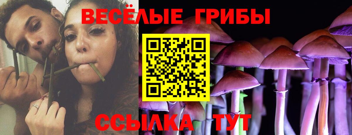 Галлюциногенные грибы ЛСД  Волжск 